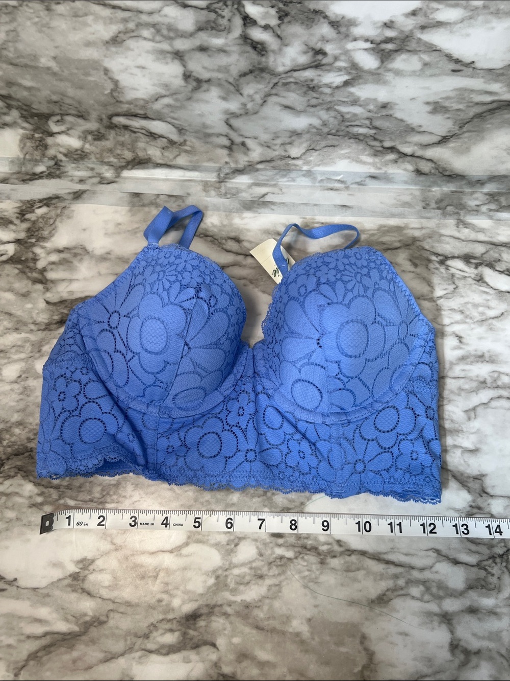 aerie Periwinkle Floral Lace Longline Bra